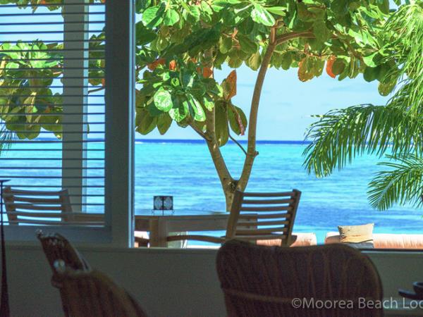 Swim with humpback whales in Tahiti