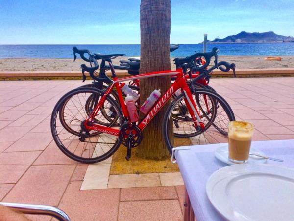 Challenging road cycling holiday in Spain