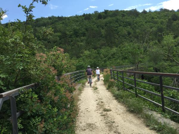 Istria family cycling holiday, Croatia