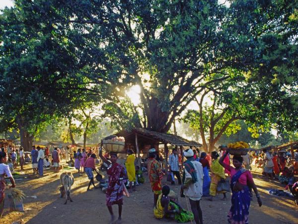 Chhattisgarh to Orissa tour in India, tribes and villages
