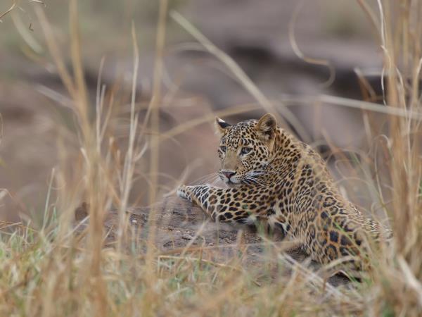 Central India holiday, journey through Chhattisgarh