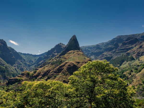 Madeira tailor made holiday, wildlife & nature