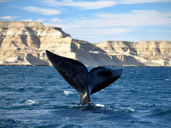 Argentina tours & honeymoons