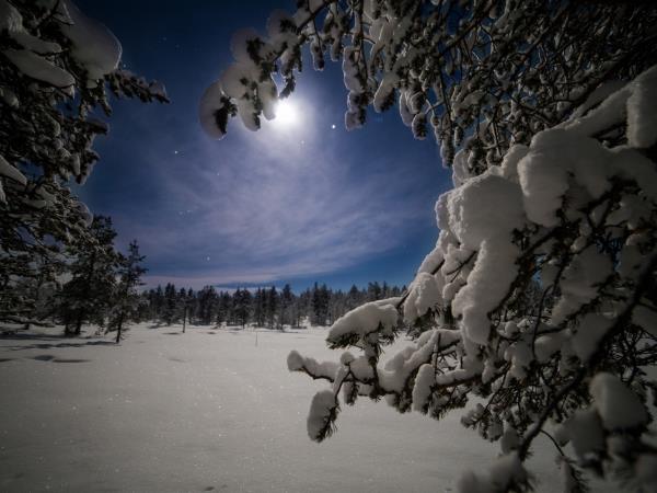 Luxury wilderness Northern Lights holiday, Finland