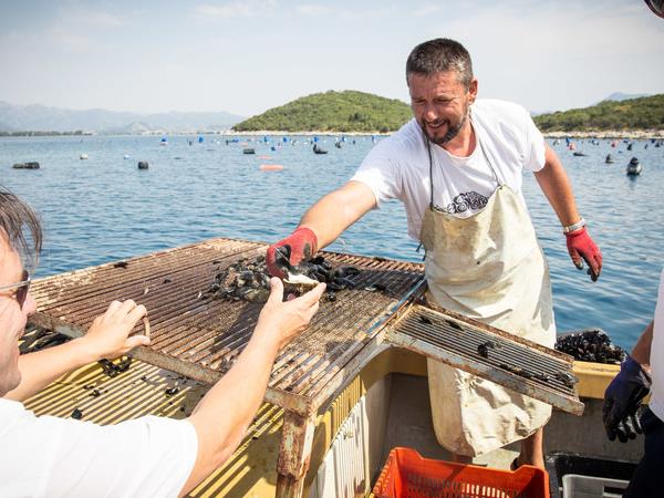 Croatia central coast cruise