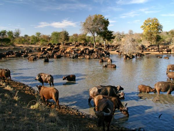 South Africa and Zimbabwe holiday, tailor made