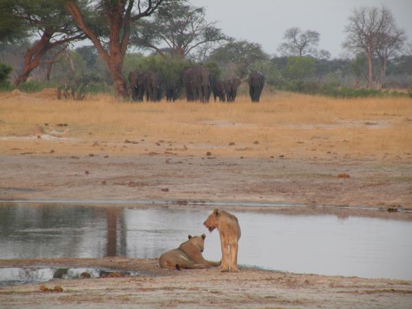 South Africa and Zimbabwe holiday, tailor made