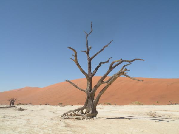 Privately guided Namibia holiday