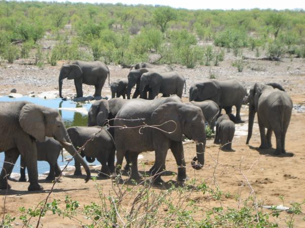Privately guided Namibia holiday