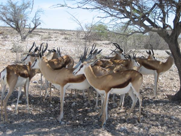 Privately guided Namibia holiday