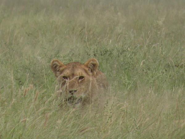 Privately guided Namibia holiday