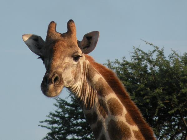 Privately guided Namibia holiday