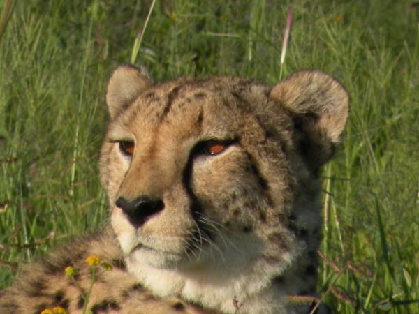Privately guided Namibia holiday