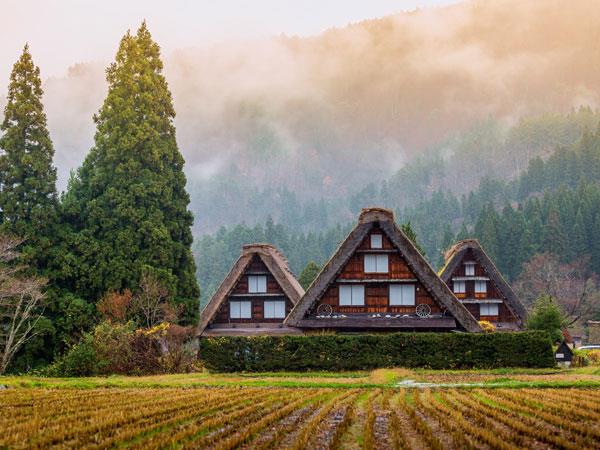 Cycling holiday in Japan