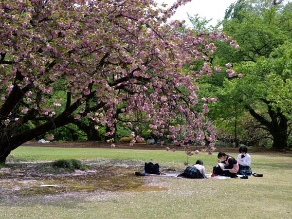 Cycling holiday in Japan