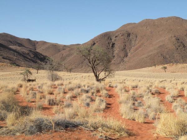 Namibia fly in safari