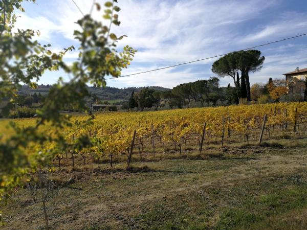 Umbria short break