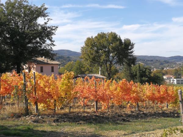 Umbria short break