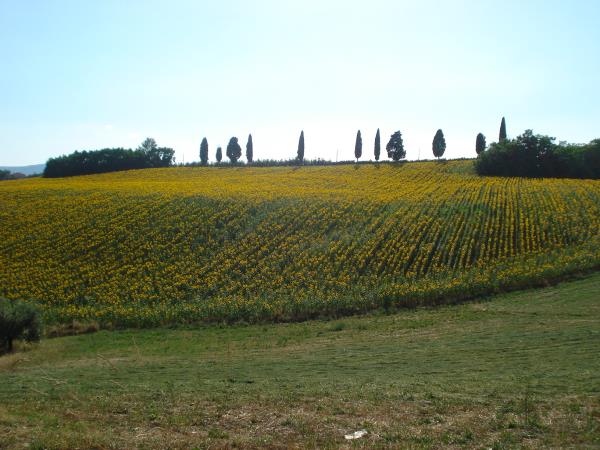 Umbria short break