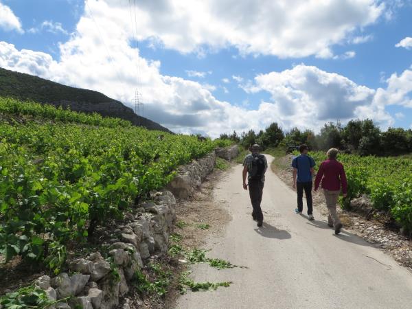 Walking and wine tasting holiday in Dubrovnik, Croatia