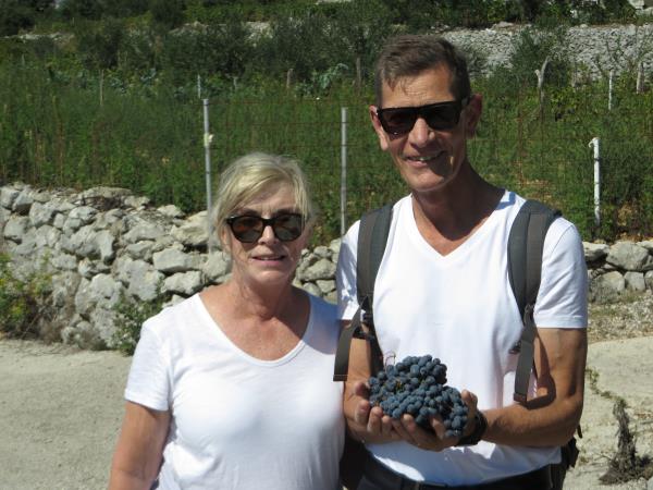 Walking and wine tasting holiday in Dubrovnik, Croatia