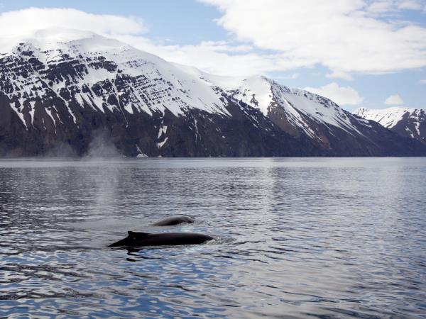 Iceland 10 day small group tour