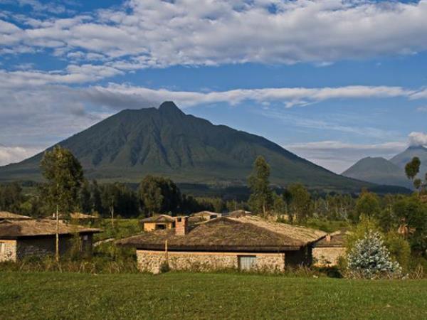 Gorilla trekking in Uganda and Rwanda