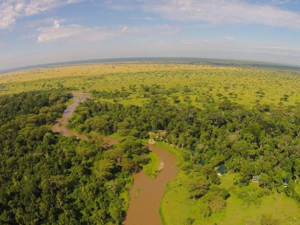 Gorilla trekking in Uganda and Rwanda