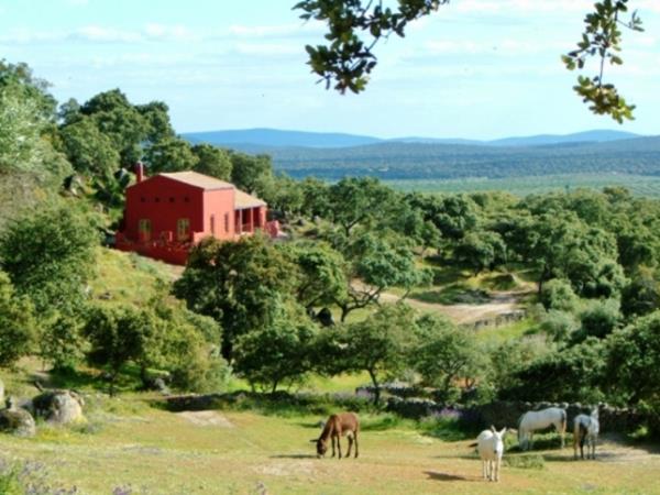 Creative Spanish cooking holiday, Spain