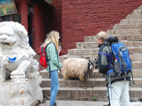 Tibet pilgrimage tour, Lhasa to Everest Base camp