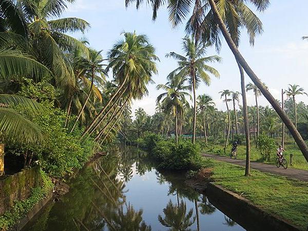 Small group cycling holiday in Kerala, India