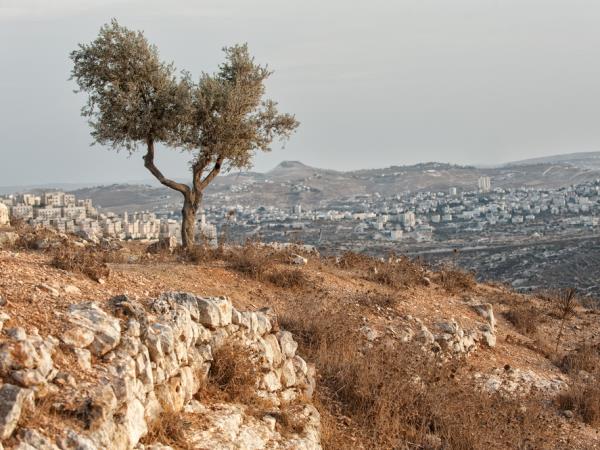 Palestine and Israel small group tour