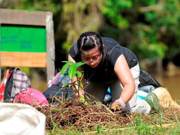 Wildlife conservation in Borneo