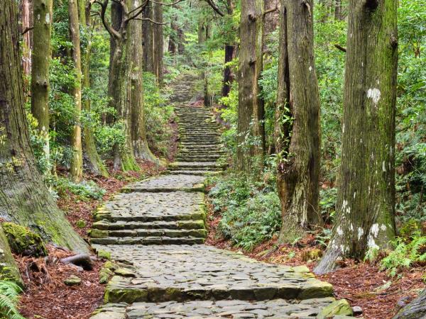 Central Japan holiday, small group