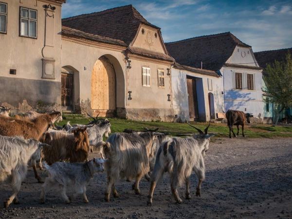 Romania tailor made holiday