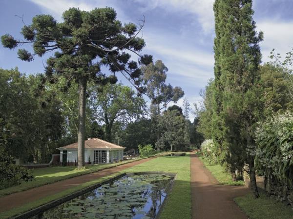 Madeira tailor made holiday, gardens & levadas