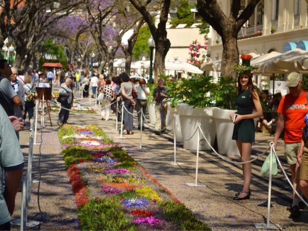 Madeira tailor made holiday, gardens & levadas