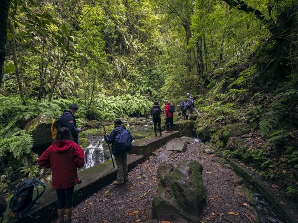 Madeira tailor made holiday, gardens & levadas