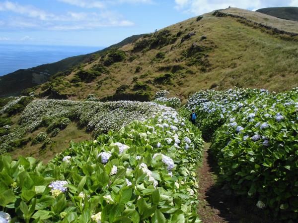 Azores island hopping holiday