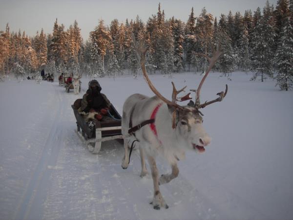 Helsinki and Rovaniemi Christmas holiday with Santa
