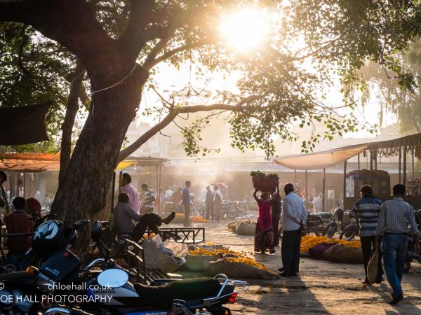 Rajasthan photography holiday