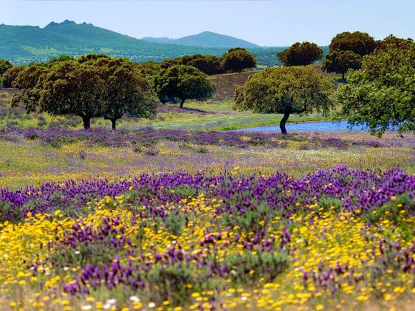 Creative Spanish cooking holiday, Spain