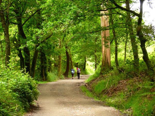 Sarria to Santiago de Compostela walking tour, Spain