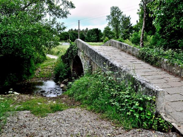 Sarria to Santiago de Compostela walking tour, Spain