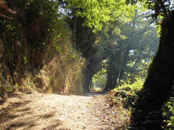 Sarria to Santiago de Compostela walking tour, Spain