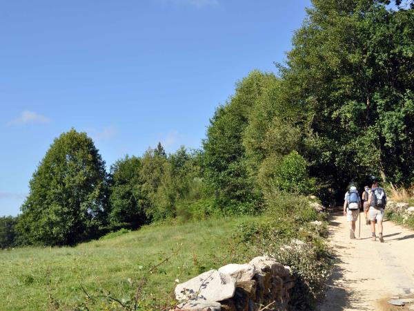 Sarria to Santiago de Compostela walking tour, Spain