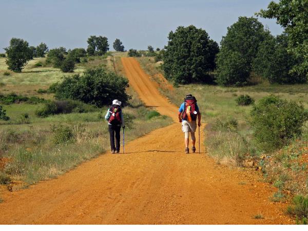 Sarria to Santiago de Compostela walking tour, Spain