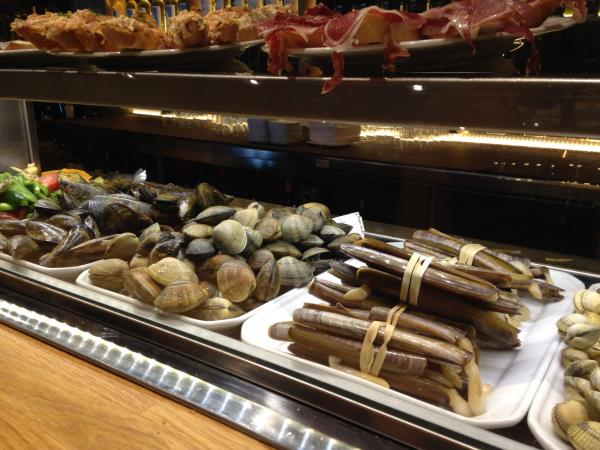 Sarria to Santiago de Compostela walking tour, Spain
