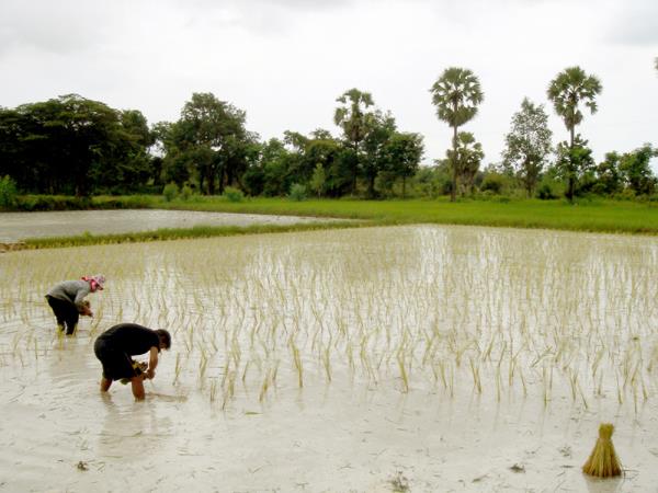 Udon Thani accommodation in Thailand