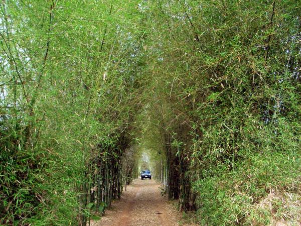 Udon Thani accommodation in Thailand